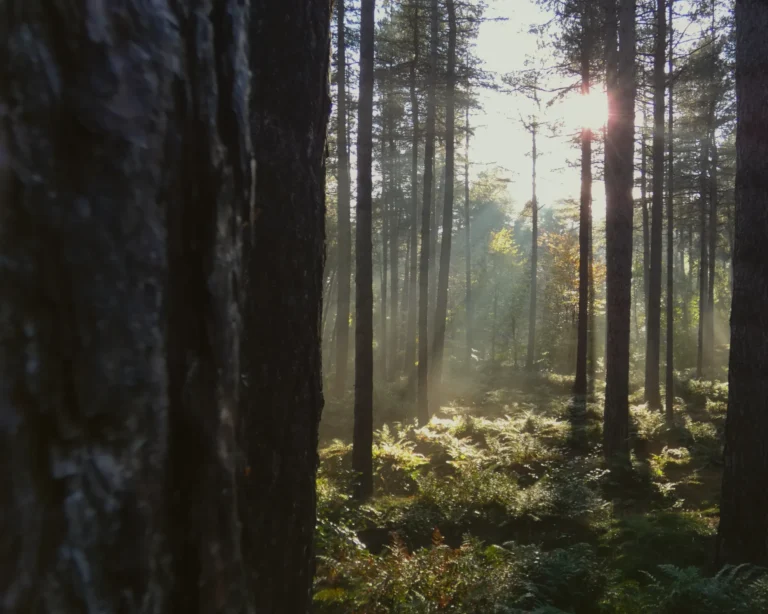 In de pauze tussen woorden